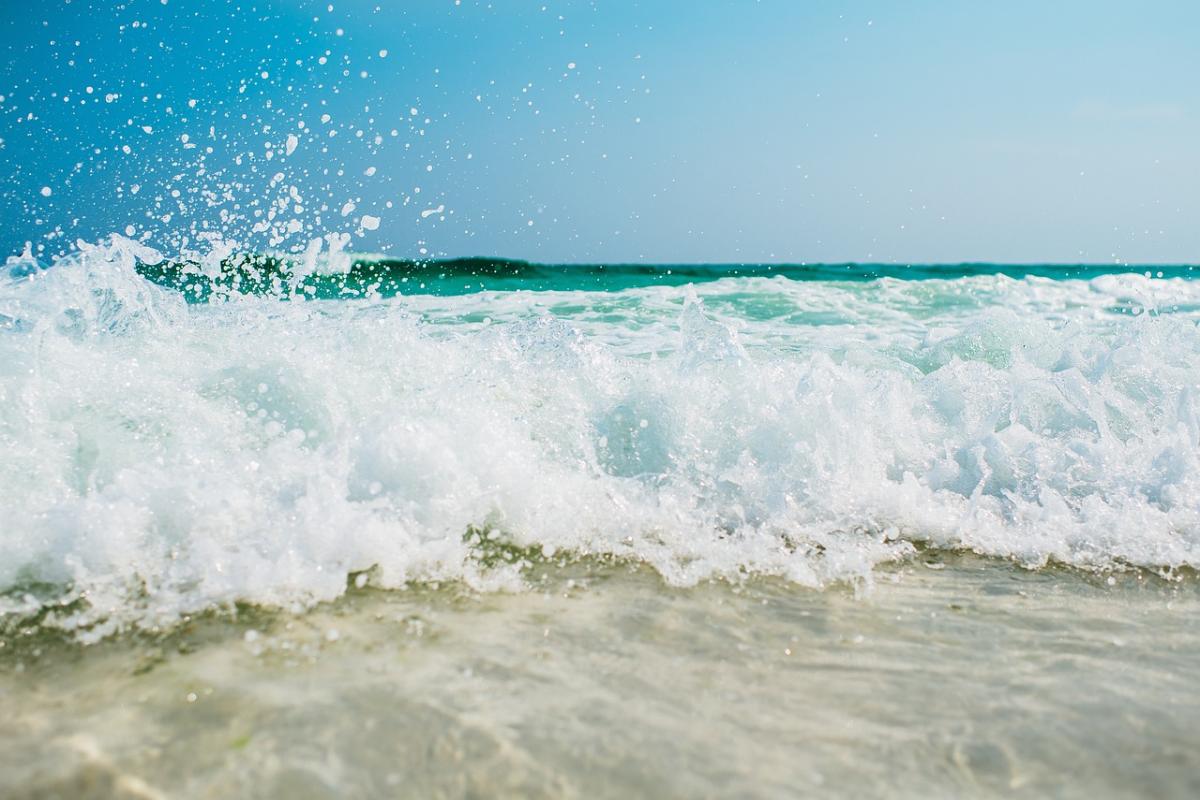 Ga kajakken door de rustige wateren van de mangroven van Aruba