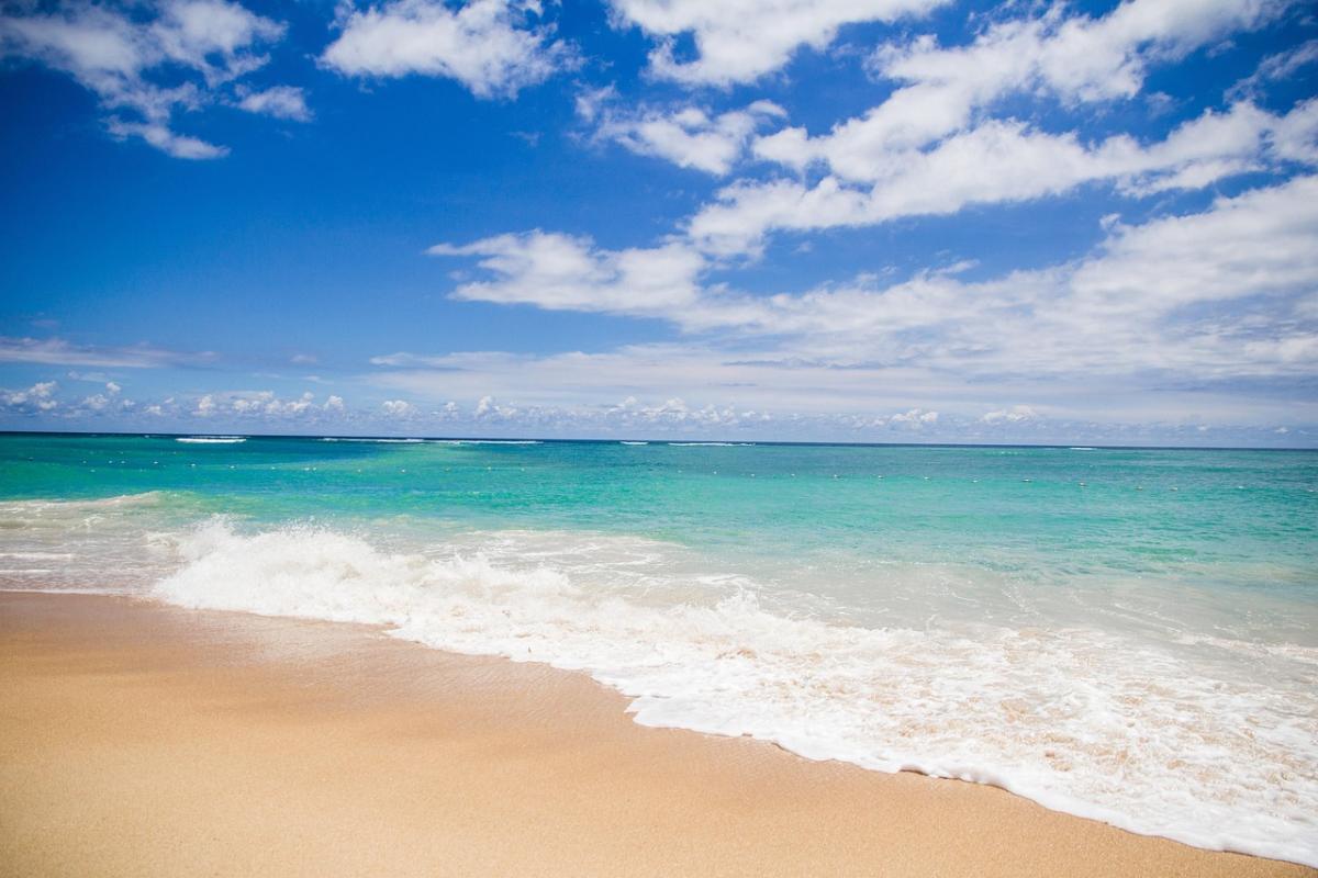 Ga kitesurfen op de beroemde windsurfspots van Aruba